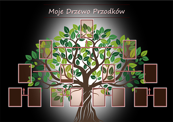 Drzewo Genealogiczne Fotograf Wrzesnia Zdjecia Do Dokumentow Fotograf Na Slub Odbitki Sesje Gadzety Ze Zdjeciem Oraz Wiele Innych Uslug